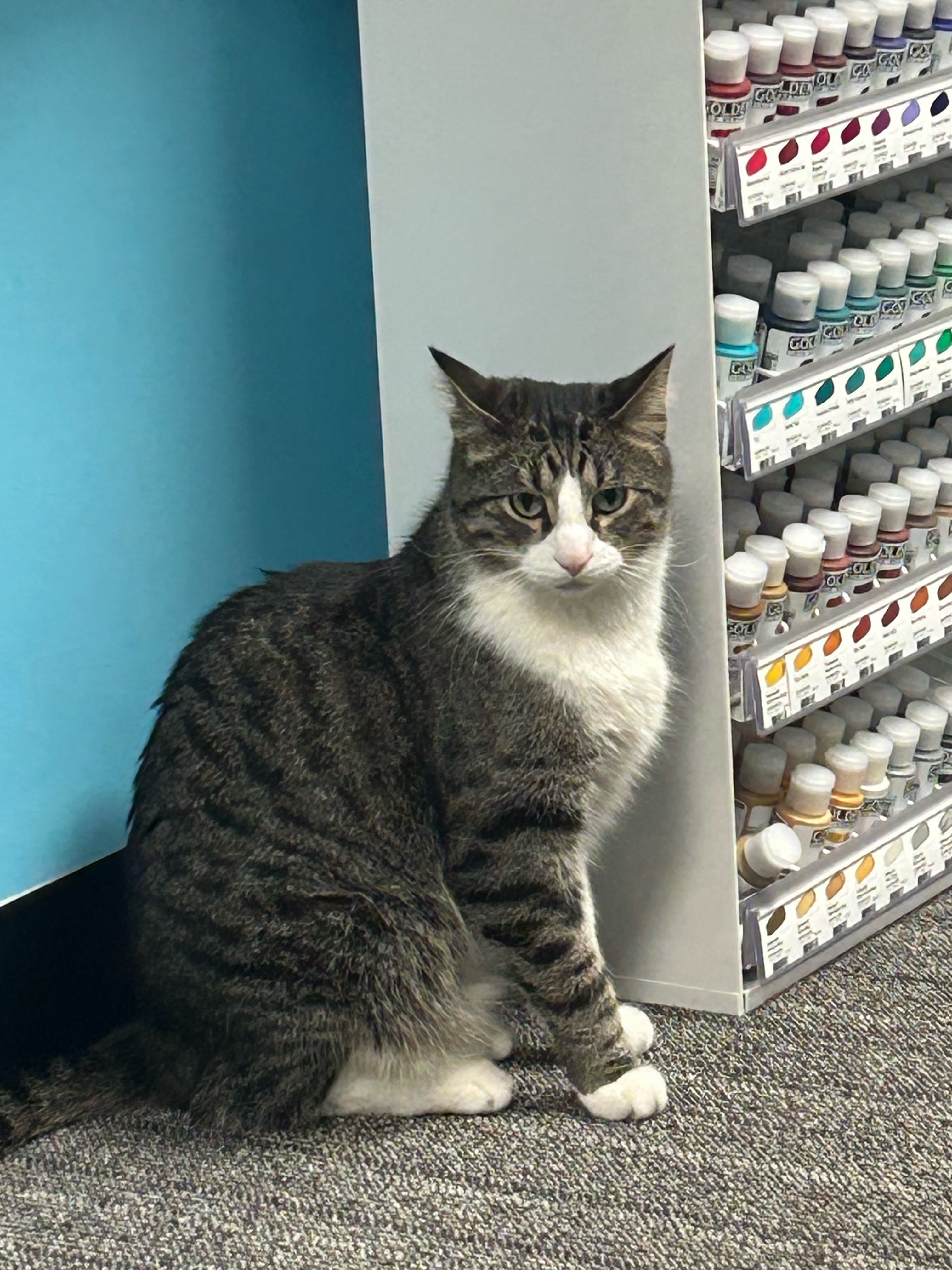 Spring trip to St. Louis Art&nbsp;Supply